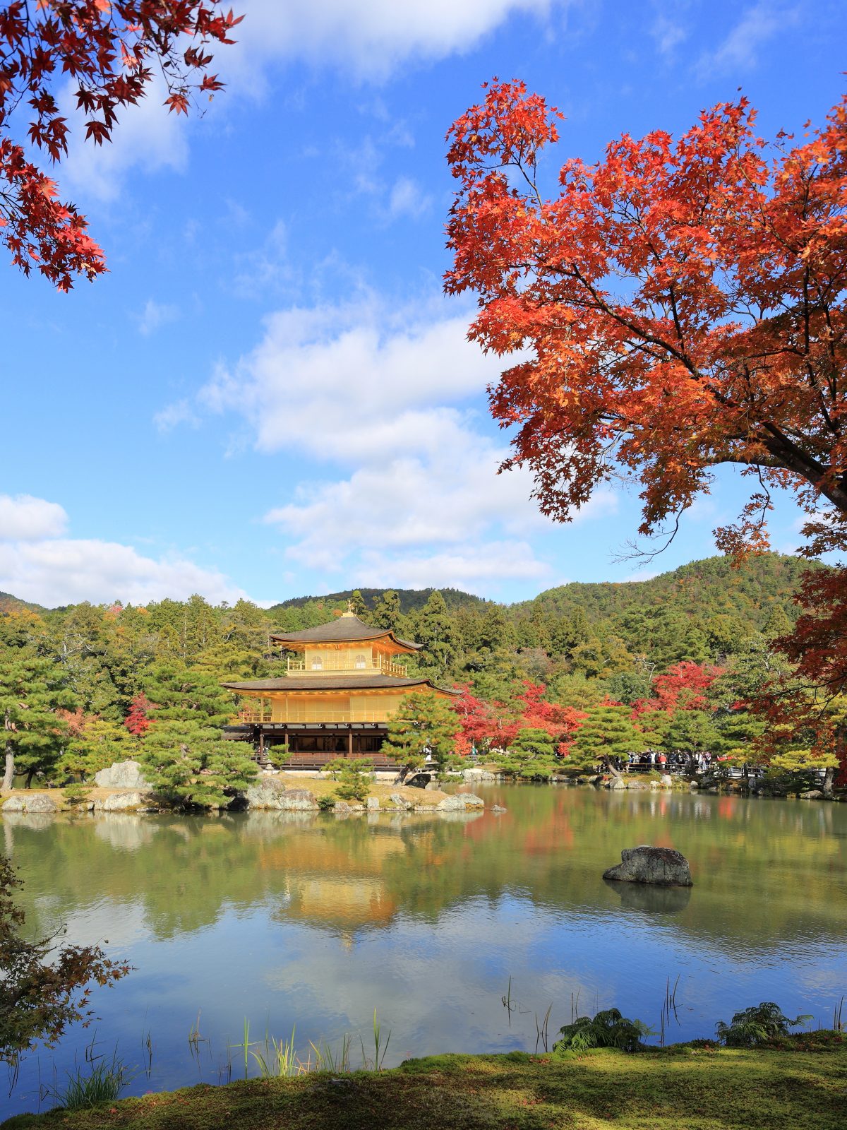 金閣寺（鹿苑寺） — 観光・旅行