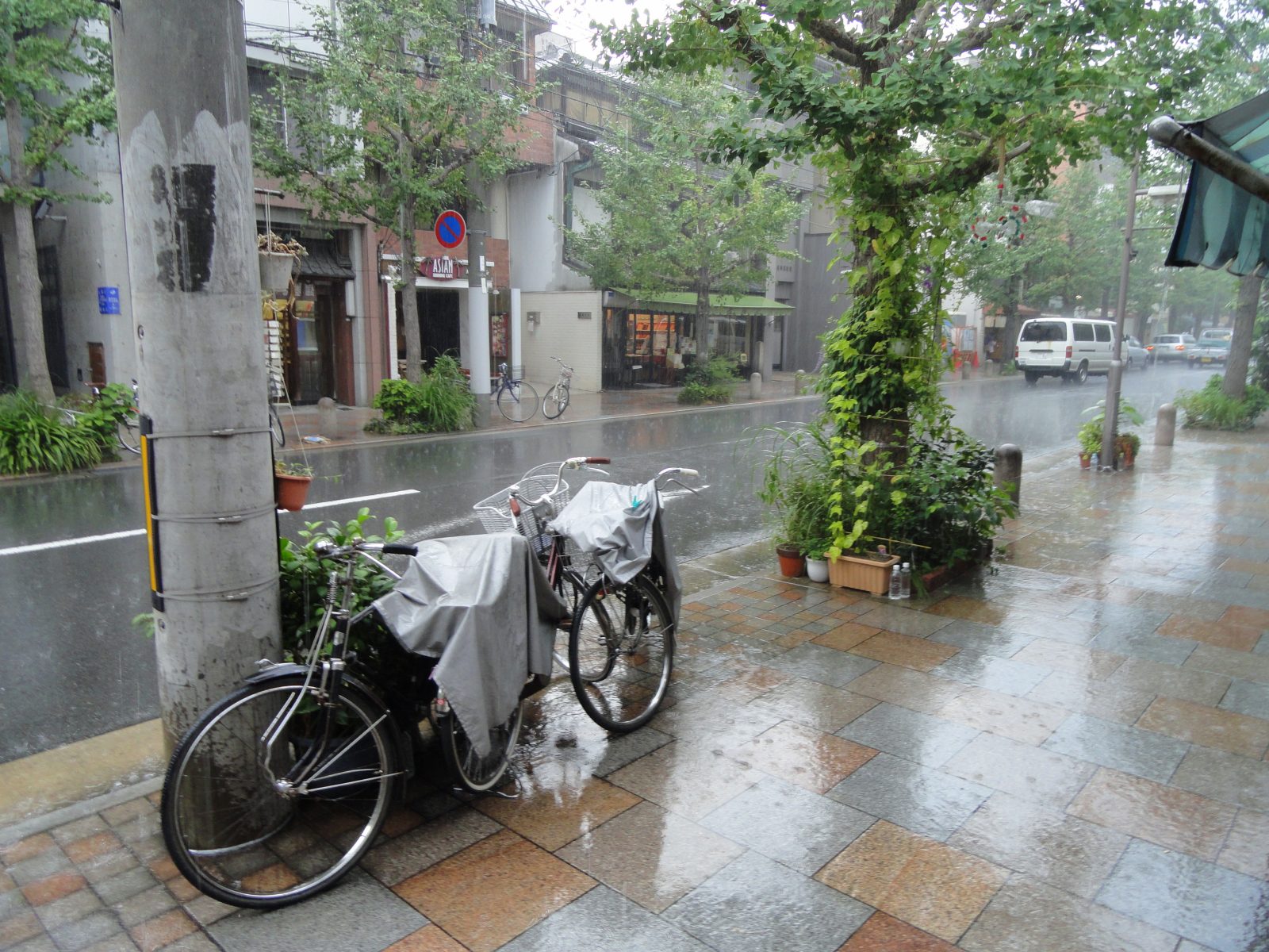 寺町通 — 専門店街・買い物エリア